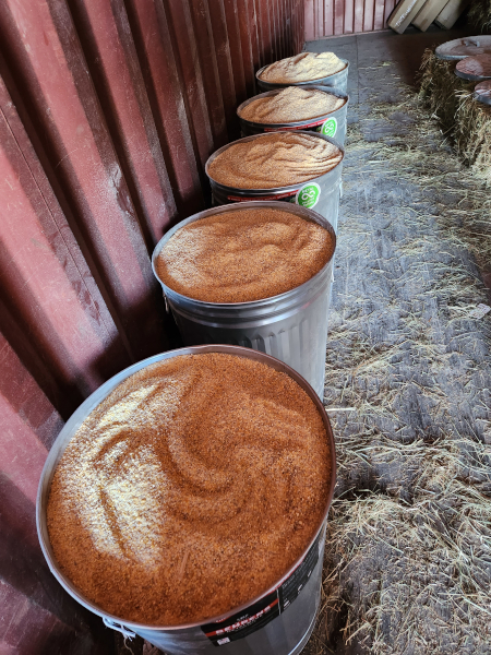 pig feed