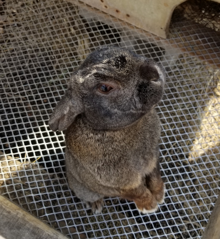 JackJack Pose 3