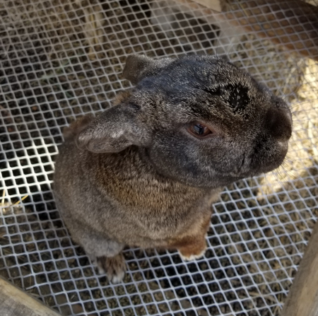 JackJack Pose 4