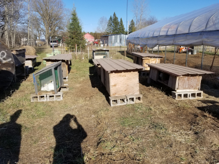 Cages Moved