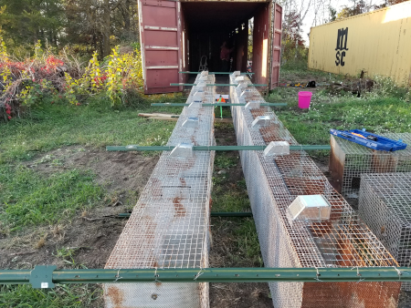 New Cages
