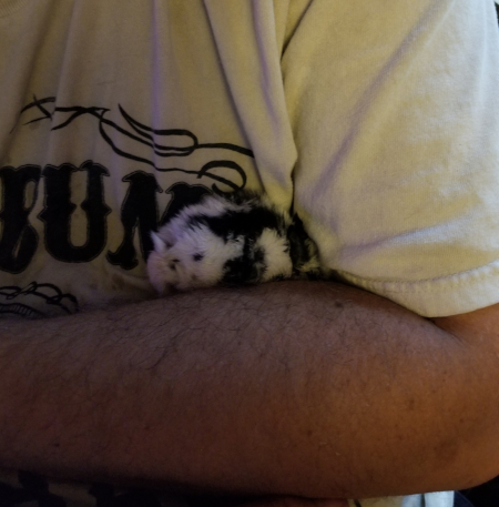 Bottle Baby Brillo 2