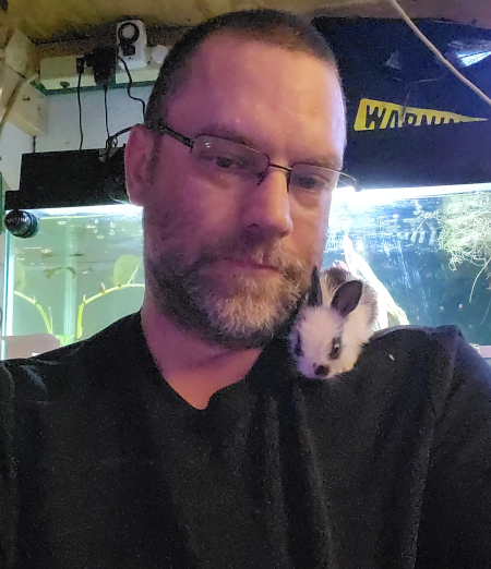 Brillo Pirate Bunny